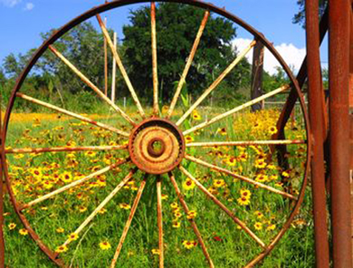 hillcountry